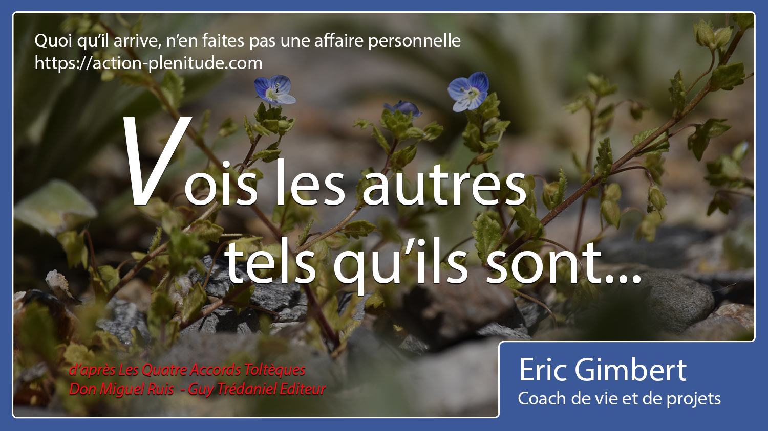 Proverbes Et Citations