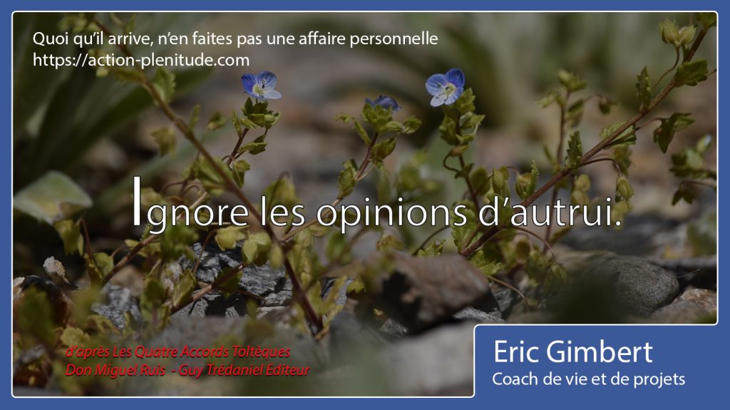 Citations Eric Action Plenitude